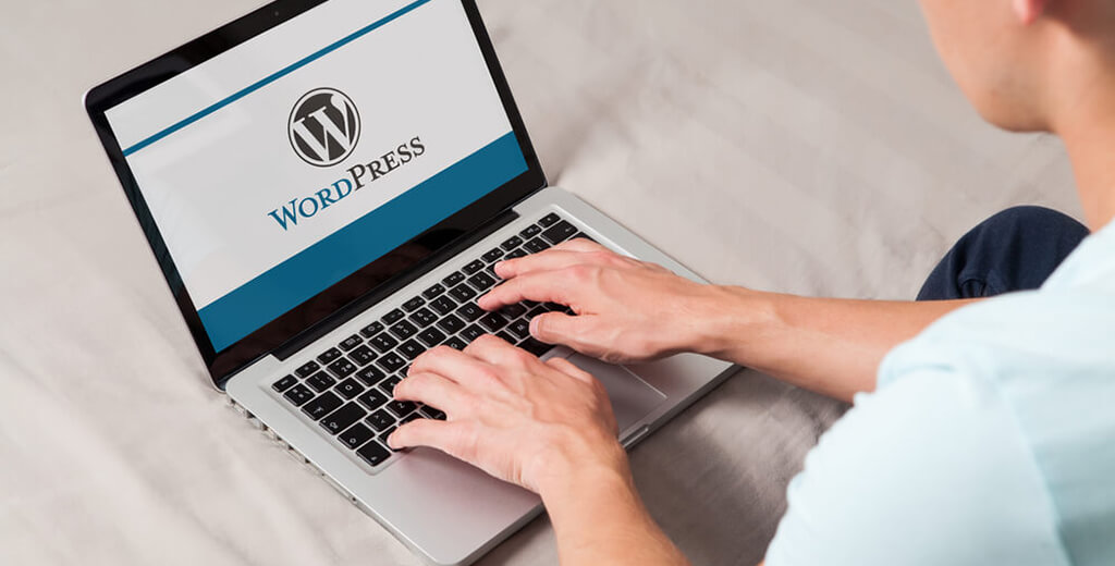 WordPress – the best among CMS